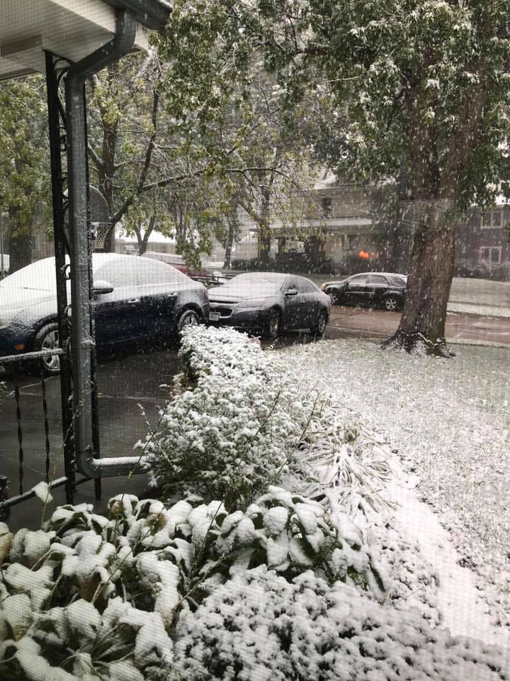 Snow, 10/14